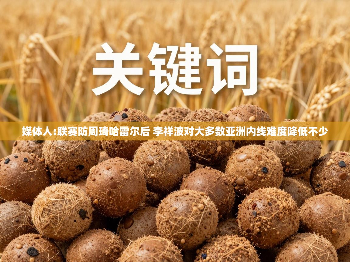 爱游戏体育娱乐罗马赞助商-媒体人:联赛防周琦哈雷尔后 李祥波对大多数亚洲内线难度降低不少  第2张